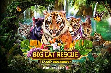 image Big cat rescue megaways